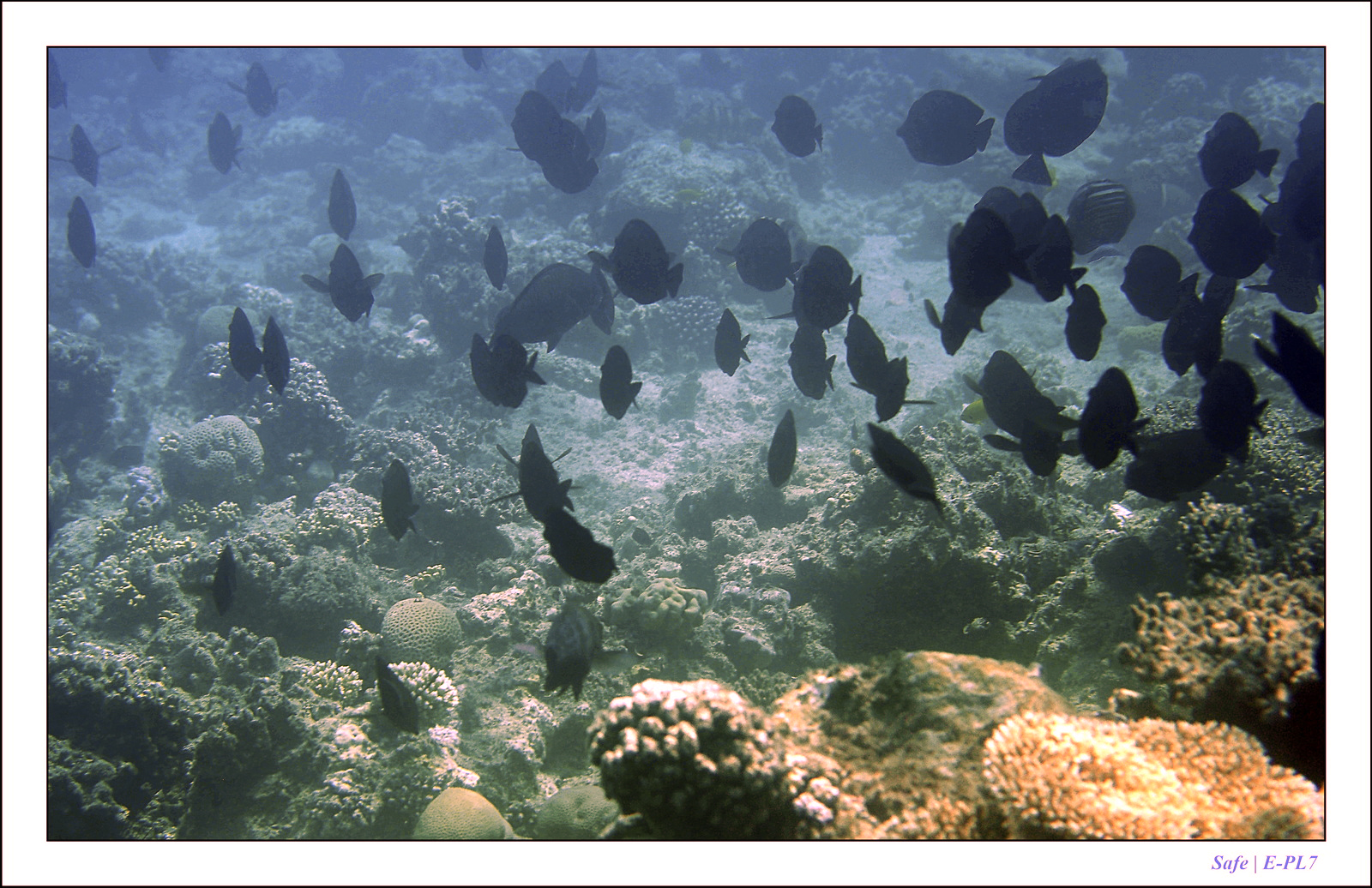 Hurghada - Juillet 2021 - 046